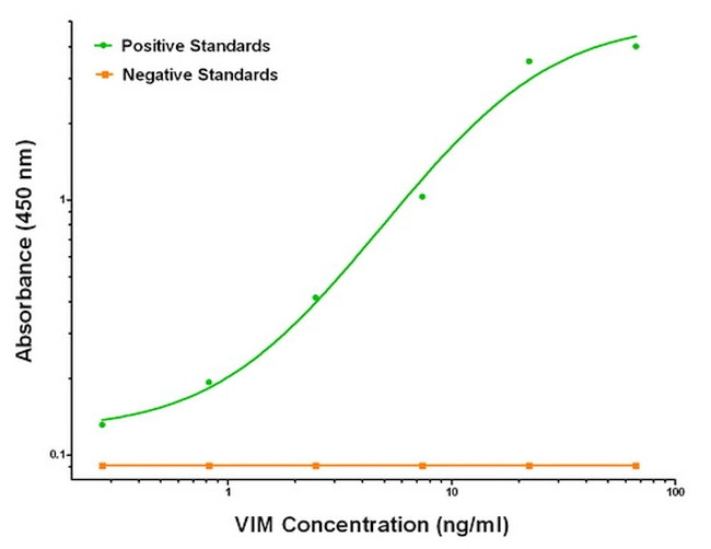 VIM Antibody in ELISA (ELISA)