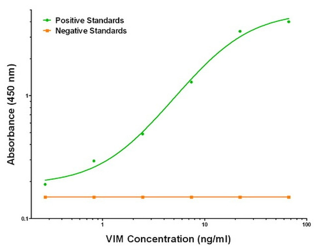 VIM Antibody in ELISA (ELISA)