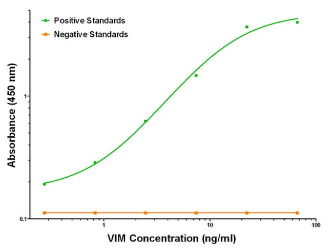 VIM Antibody in ELISA (ELISA)