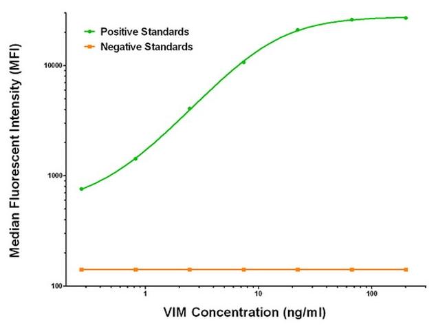 VIM Antibody in Luminex (Luminex)