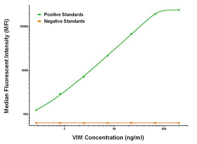 VIM Antibody in Luminex (Luminex)