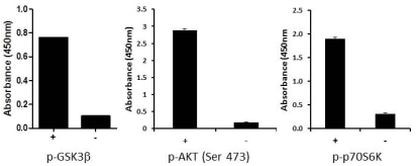 Multispecies AKT Pathway (AKT/GSK/p70 S6K) Activation Profile InstantOne™ ELISA Kit