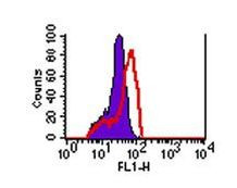 Rabbit IgG Isotype Control in Flow Cytometry (Flow)