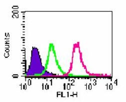 Rabbit IgG Isotype Control in Flow Cytometry (Flow)