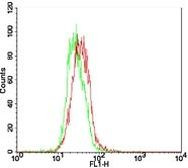 TLR7 Antibody in Flow Cytometry (Flow)