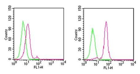 D4-GDI Antibody in Flow Cytometry (Flow)