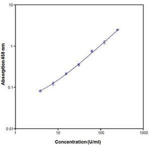 Monkey IL-12 p70 ELISA Kit