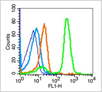 beta Amyloid 1-42 Antibody in Flow Cytometry (Flow)