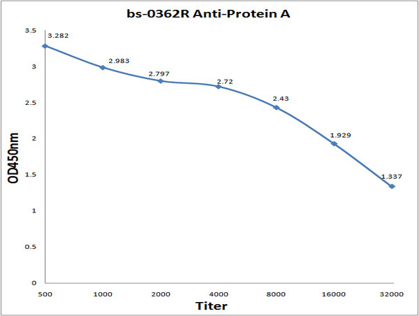 Protein A Antibody in ELISA (ELISA)