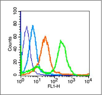 beta Amyloid 31-35 Antibody in Flow Cytometry (Flow)