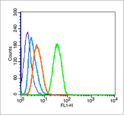Mtp53 (N235K,N239Y) Antibody in Flow Cytometry (Flow)