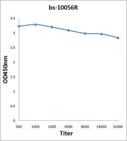 KNDC1 Antibody in ELISA (ELISA)