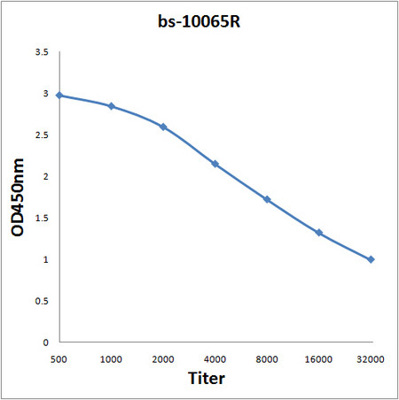 Netrin 4 Antibody in ELISA (ELISA)
