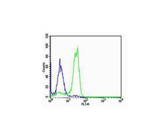 SP-C Antibody in Flow Cytometry (Flow)
