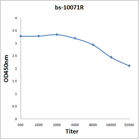 VEGFB167 Antibody in ELISA (ELISA)