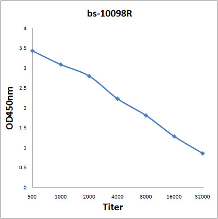 S100A6 Antibody in ELISA (ELISA)