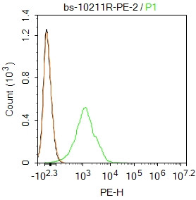 FoxP3 Antibody in Flow Cytometry (Flow)