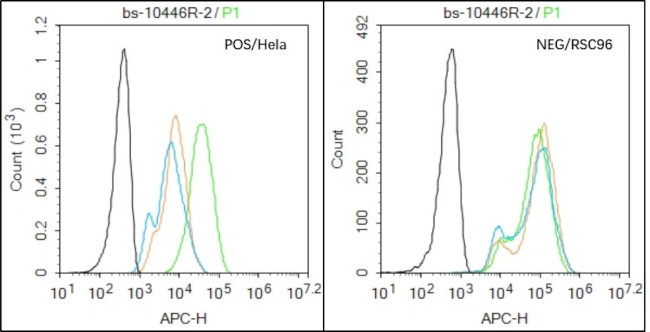 HPV16-E7 Antibody in Flow Cytometry (Flow)