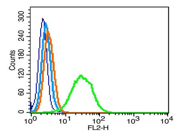 GPM6A Antibody in Flow Cytometry (Flow)