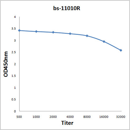 NSE1 Antibody in ELISA (ELISA)