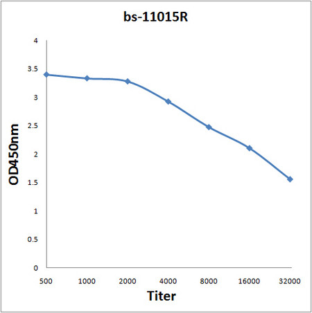 BFSP2/Phakinin Antibody in ELISA (ELISA)