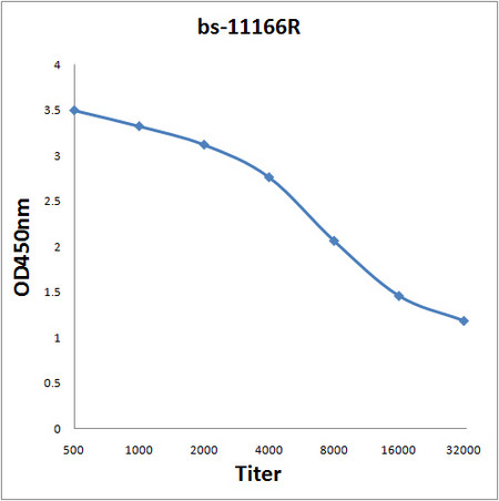 SorLA Antibody in ELISA (ELISA)