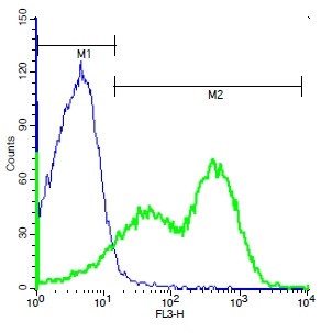 SSTR1/Somatostatin Receptor 1 Antibody in Flow Cytometry (Flow)