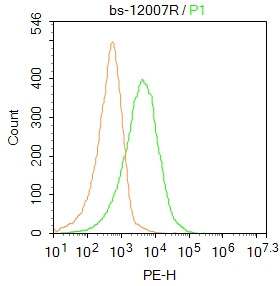GRIK3/GLR7 Antibody in Flow Cytometry (Flow)