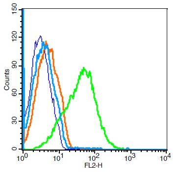 ADRA2C/alpha 2C Adrenergic Receptor Antibody in Flow Cytometry (Flow)