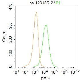 PHEX Antibody in Flow Cytometry (Flow)