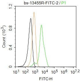 Fibronectin/Ugl-Y3 Antibody in Flow Cytometry (Flow)