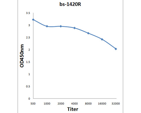NCoR2 Antibody in ELISA (ELISA)