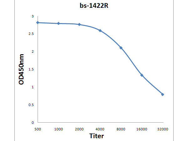 MRP4/ABCC4 Antibody in ELISA (ELISA)
