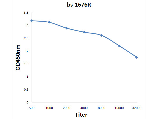 MG Antibody in ELISA (ELISA)