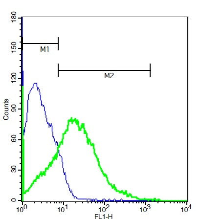 MMP-16 Antibody in Flow Cytometry (Flow)
