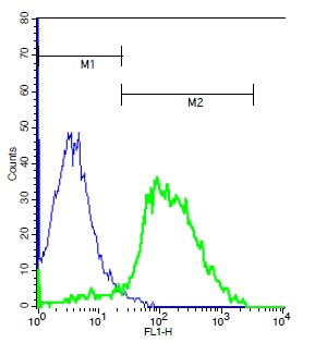 TSHR Antibody in Flow Cytometry (Flow)