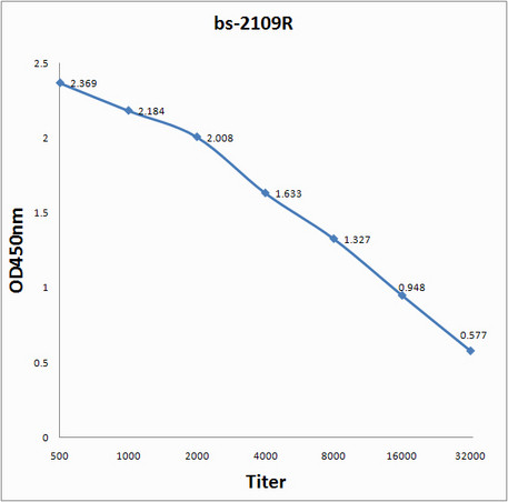 V5 tag Antibody in Immunohistochemistry (Paraffin) (IHC (P))