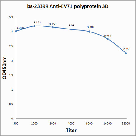 EV71 polyprotein 3D Antibody in ELISA (ELISA)