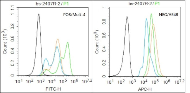 SV2A Antibody in Flow Cytometry (Flow)