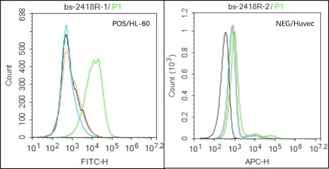 NCR3 Antibody in Flow Cytometry (Flow)