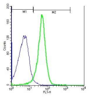 NFAM1 Antibody in Flow Cytometry (Flow)