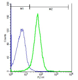 TRPM2 Antibody in Flow Cytometry (Flow)