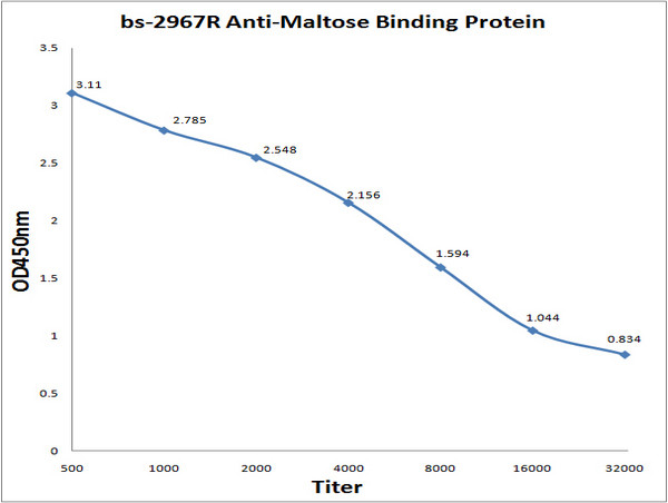 Maltose Binding Protein/MBP Antibody in ELISA (ELISA)