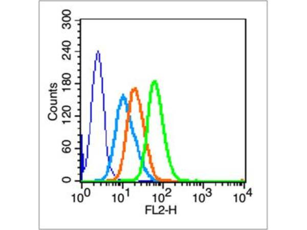 Phospho-BRCA1 (Ser1524) Antibody in Flow Cytometry (Flow)
