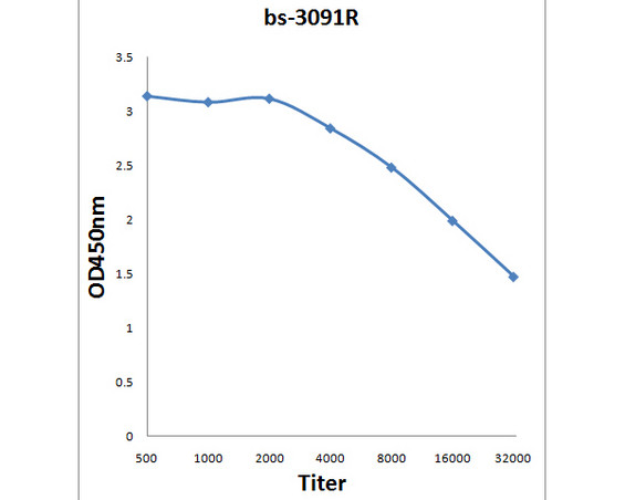 Phospho-cdc2 (Thr14) Antibody in ELISA (ELISA)