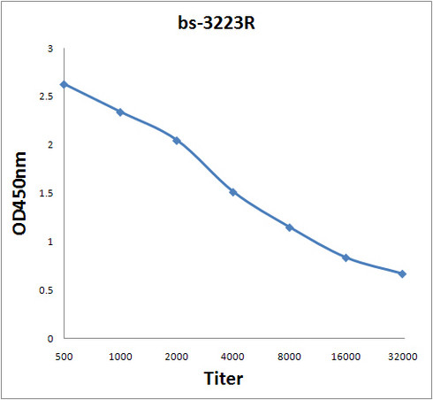 Phospho-HSL (Ser863) Antibody in ELISA (ELISA)