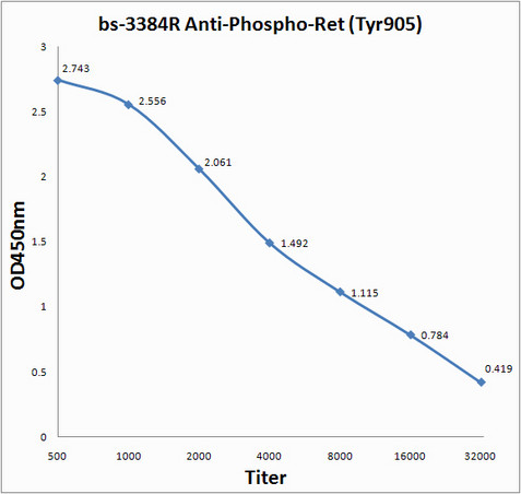 Phospho-Ret (Tyr905) Antibody in ELISA (ELISA)