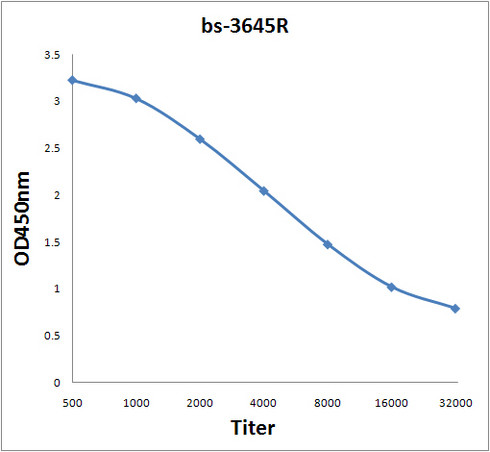 MAGE-A4 Antibody in ELISA (ELISA)