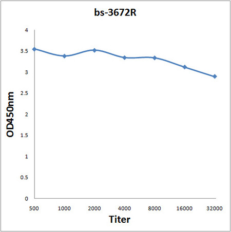 HSP22 Antibody in ELISA (ELISA)