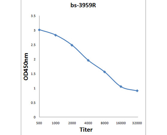 NDUFV1 Antibody in ELISA (ELISA)